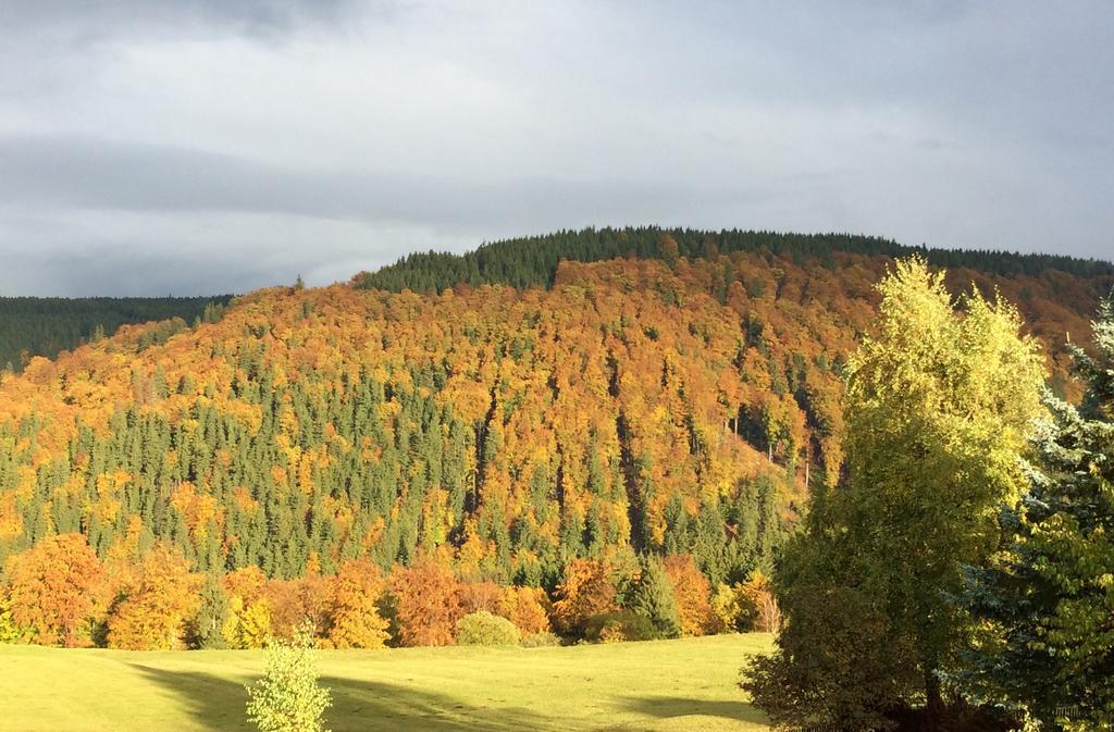 Ferienwohnungen Gehlberg Kültér fotó